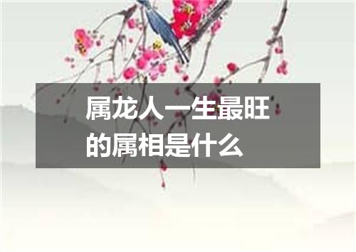 属龙人一生最旺的属相是什么