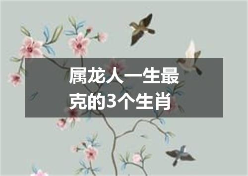 属龙人一生最克的3个生肖