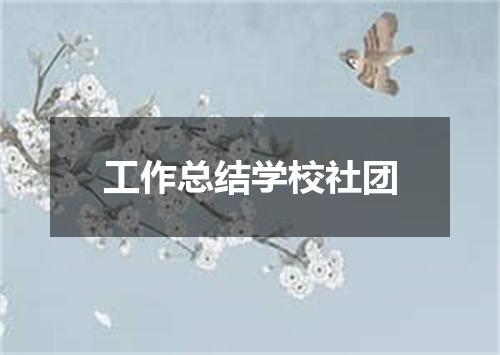 工作总结学校社团