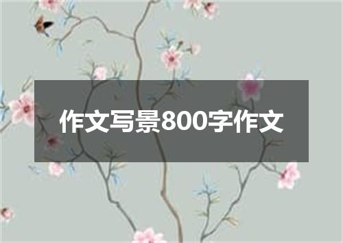 作文写景800字作文