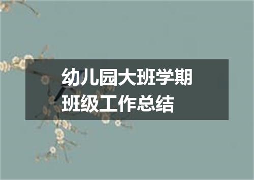 幼儿园大班学期班级工作总结