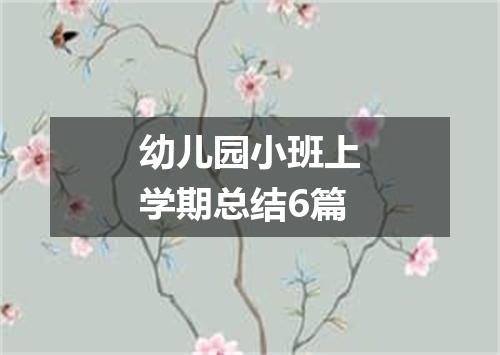 幼儿园小班上学期总结6篇