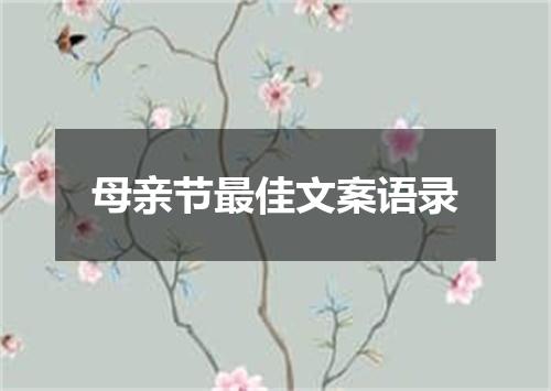 母亲节最佳文案语录