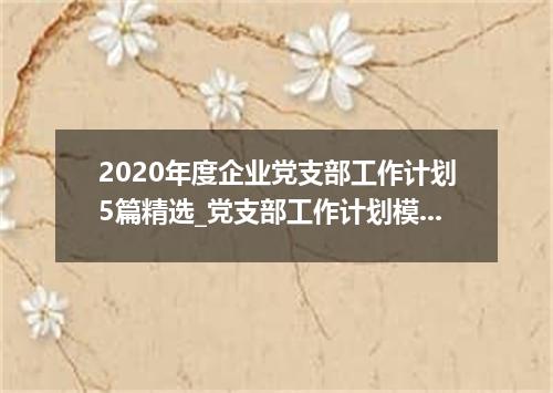2020年度企业党支部工作计划5篇精选_党支部工作计划模板
