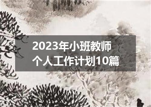 2023年小班教师个人工作计划10篇