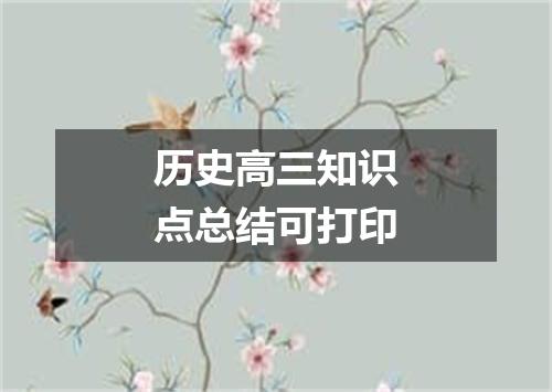 历史高三知识点总结可打印