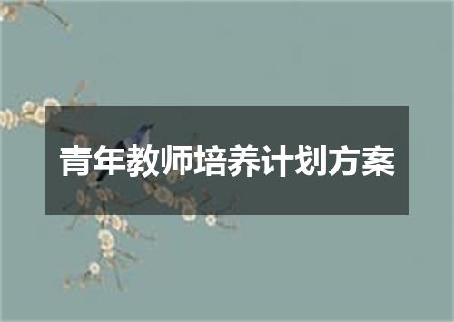 青年教师培养计划方案