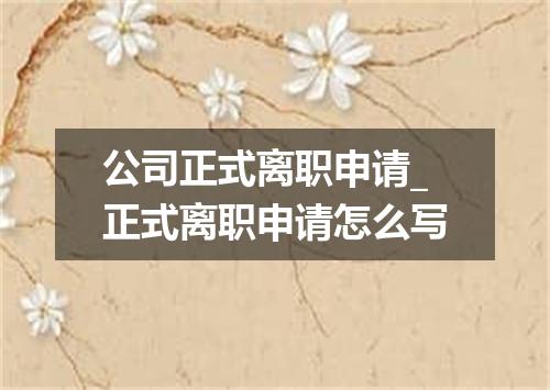 公司正式离职申请_正式离职申请怎么写