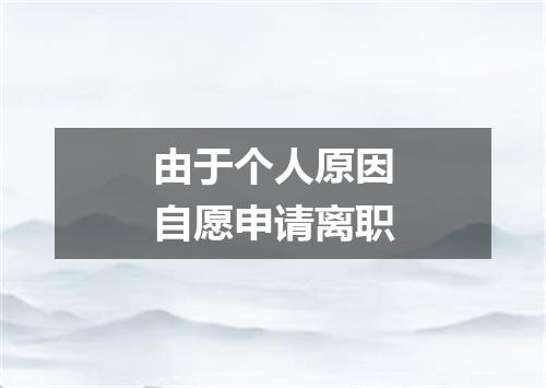 由于个人原因自愿申请离职