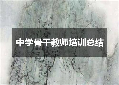 中学骨干教师培训总结