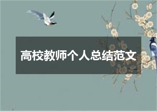 高校教师个人总结范文