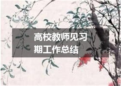 高校教师见习期工作总结