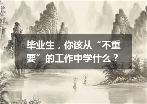 毕业生，你该从“不重要”的工作中学什么？