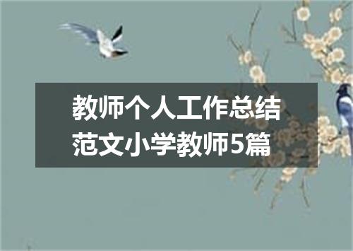 教师个人工作总结范文小学教师5篇