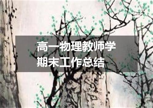 高一物理教师学期末工作总结