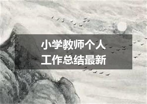 小学教师个人工作总结最新
