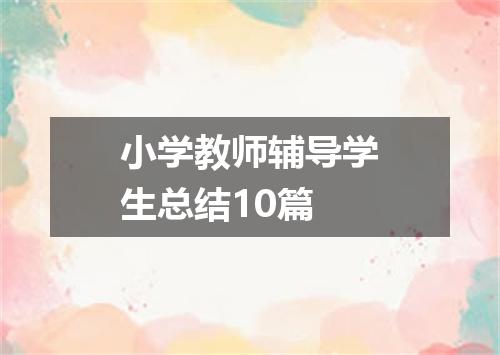 小学教师辅导学生总结10篇