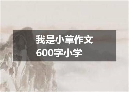 我是小草作文600字小学