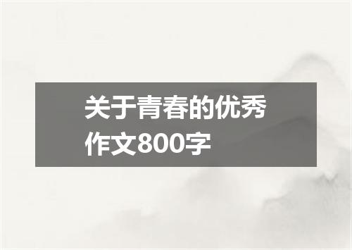 关于青春的优秀作文800字