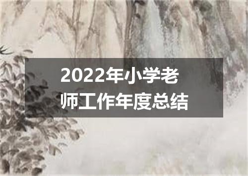 2022年小学老师工作年度总结