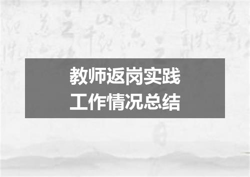 教师返岗实践工作情况总结