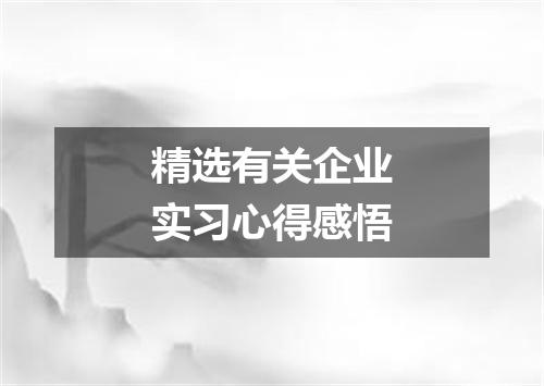精选有关企业实习心得感悟