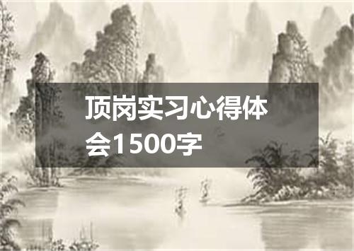 顶岗实习心得体会1500字