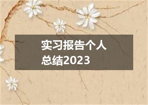 实习报告个人总结2023