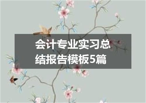 会计专业实习总结报告模板5篇