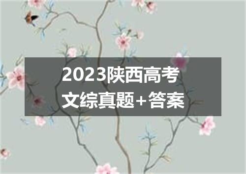 2023陕西高考文综真题+答案