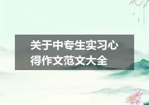 关于中专生实习心得作文范文大全