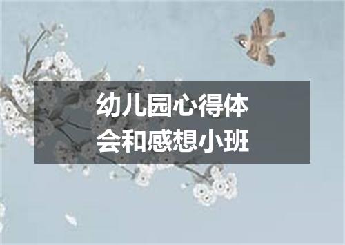 幼儿园心得体会和感想小班