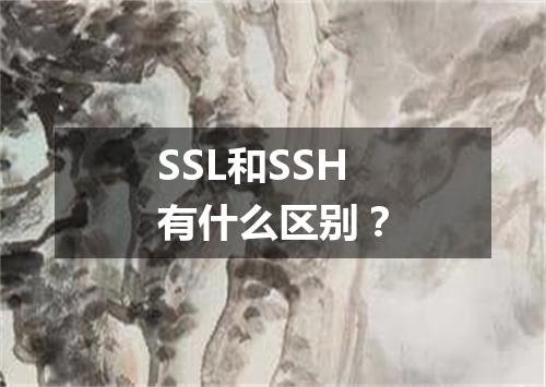SSL和SSH有什么区别？