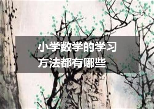 小学数学的学习方法都有哪些