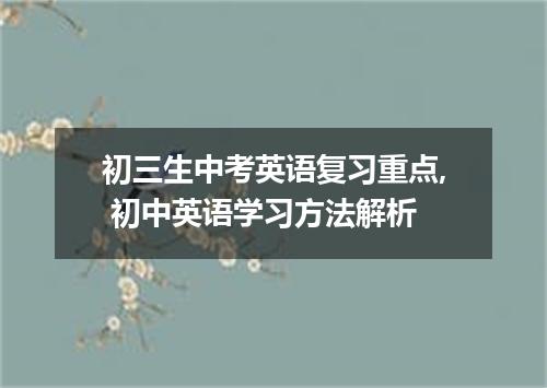 初三生中考英语复习重点, 初中英语学习方法解析