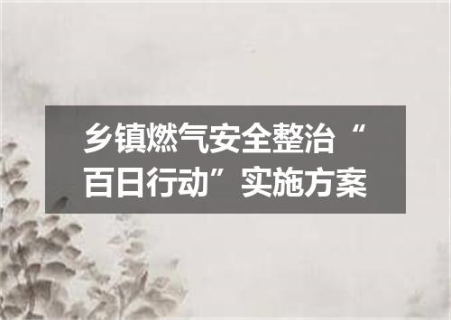乡镇燃气安全整治“百日行动”实施方案