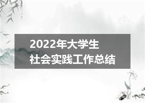 2022年大学生社会实践工作总结