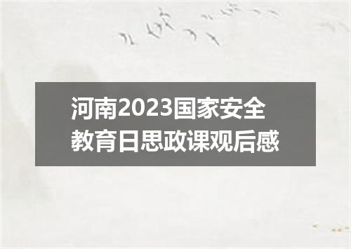 河南2023国家安全教育日思政课观后感