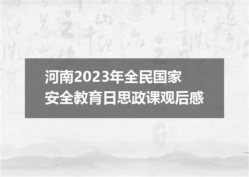 河南2023年全民国家安全教育日思政课观后感