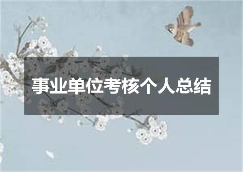 事业单位考核个人总结