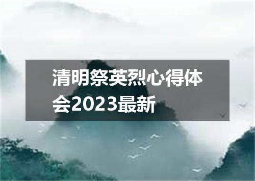 清明祭英烈心得体会2023最新