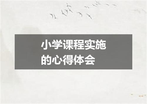 小学课程实施的心得体会