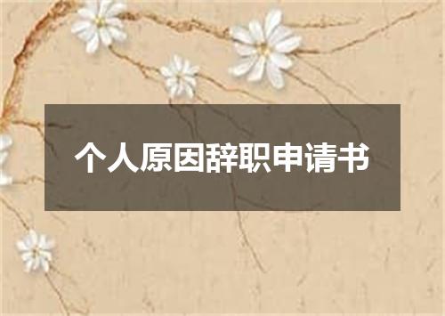 个人原因辞职申请书