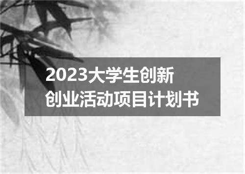 2023大学生创新创业活动项目计划书