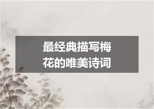 最经典描写梅花的唯美诗词