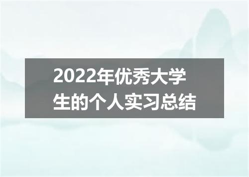 2022年优秀大学生的个人实习总结