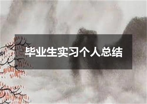 毕业生实习个人总结