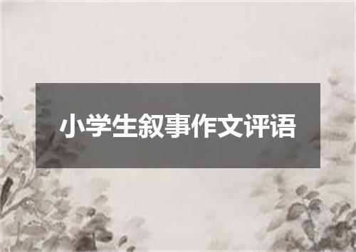 小学生叙事作文评语