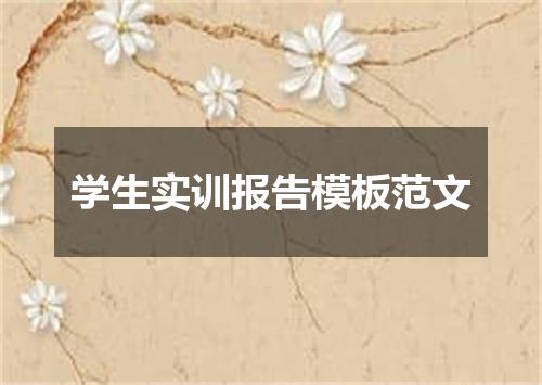 学生实训报告模板范文