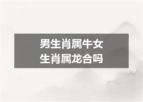男生肖属牛女生肖属龙合吗